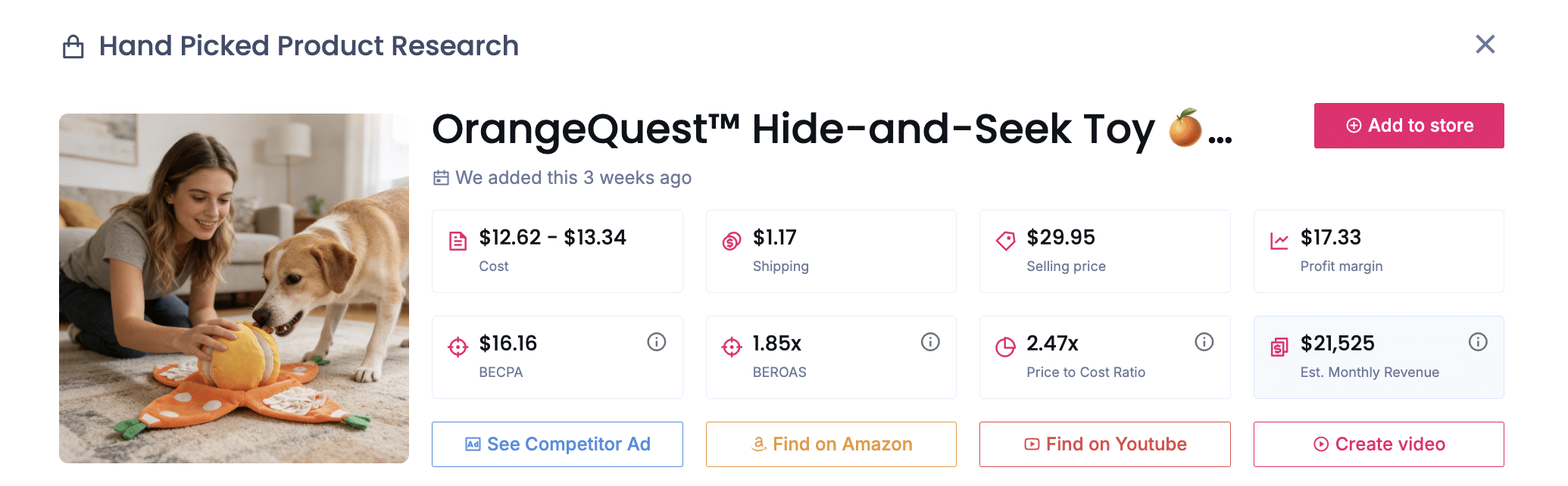 OrangeQuest Hide-and-Seek Toy